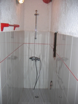 bathroom with shower and sliding pole