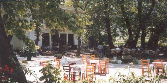 Samos terrace